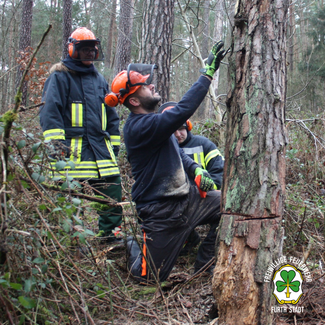 2026 01 17 Kettensaegen Workshop 04